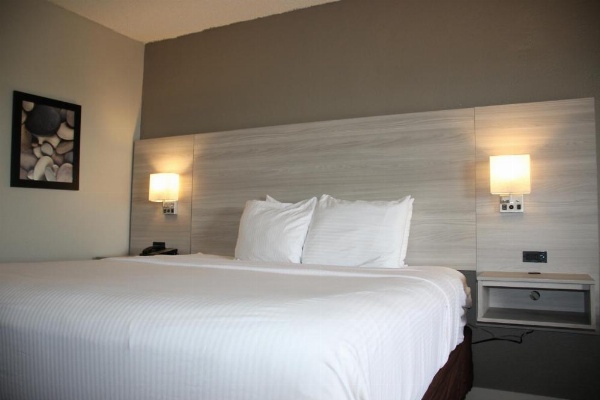 Boca Suites Deerfield Beach, SureStay Collection by BW image 13